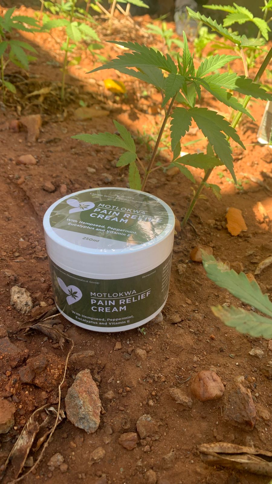 Motlokwa Pain Relief Cream