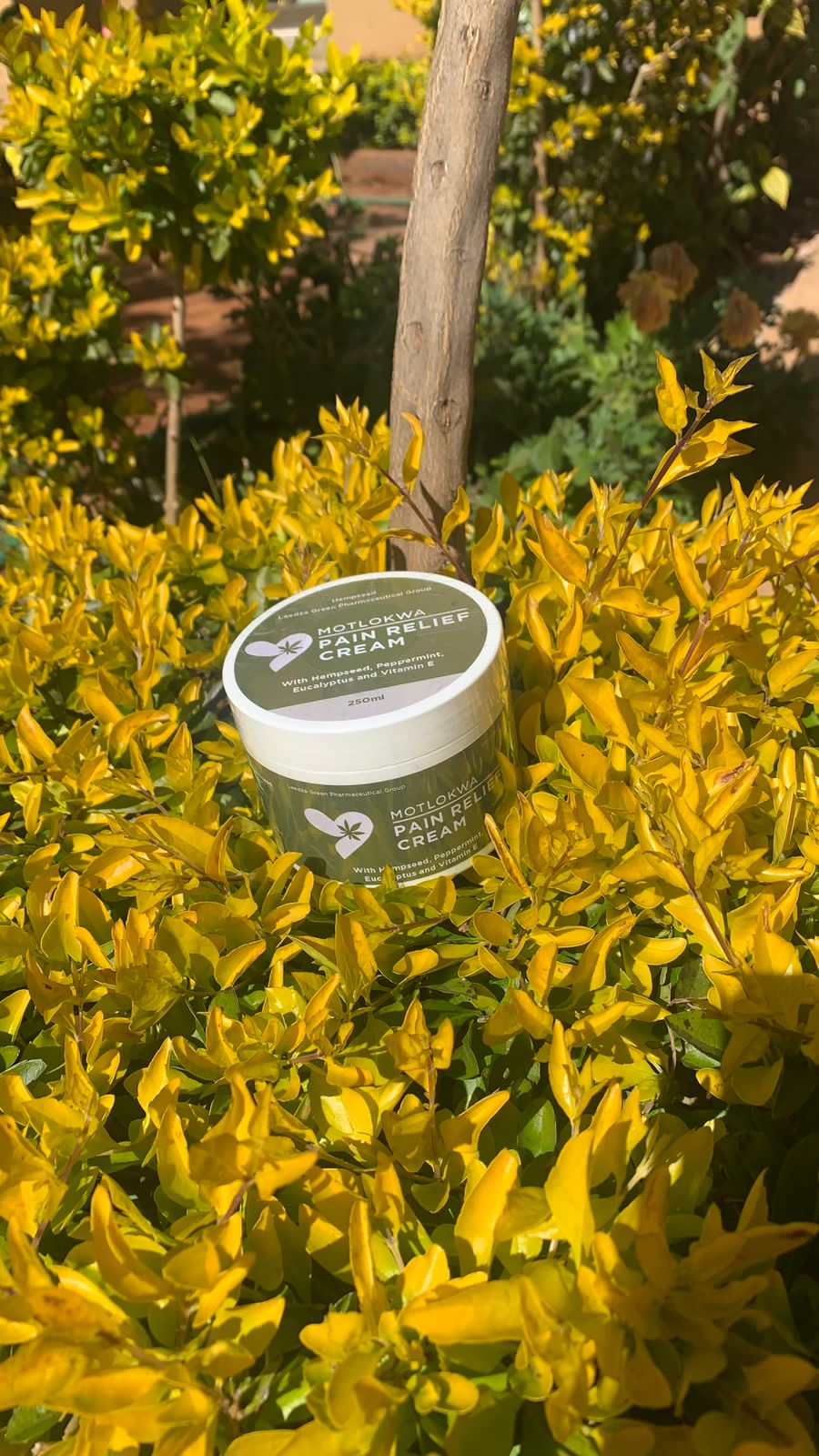Motlokwa Pain Relief Cream